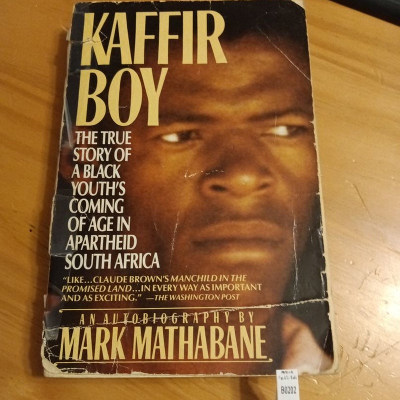 Kaffir Boy (B-0202)
