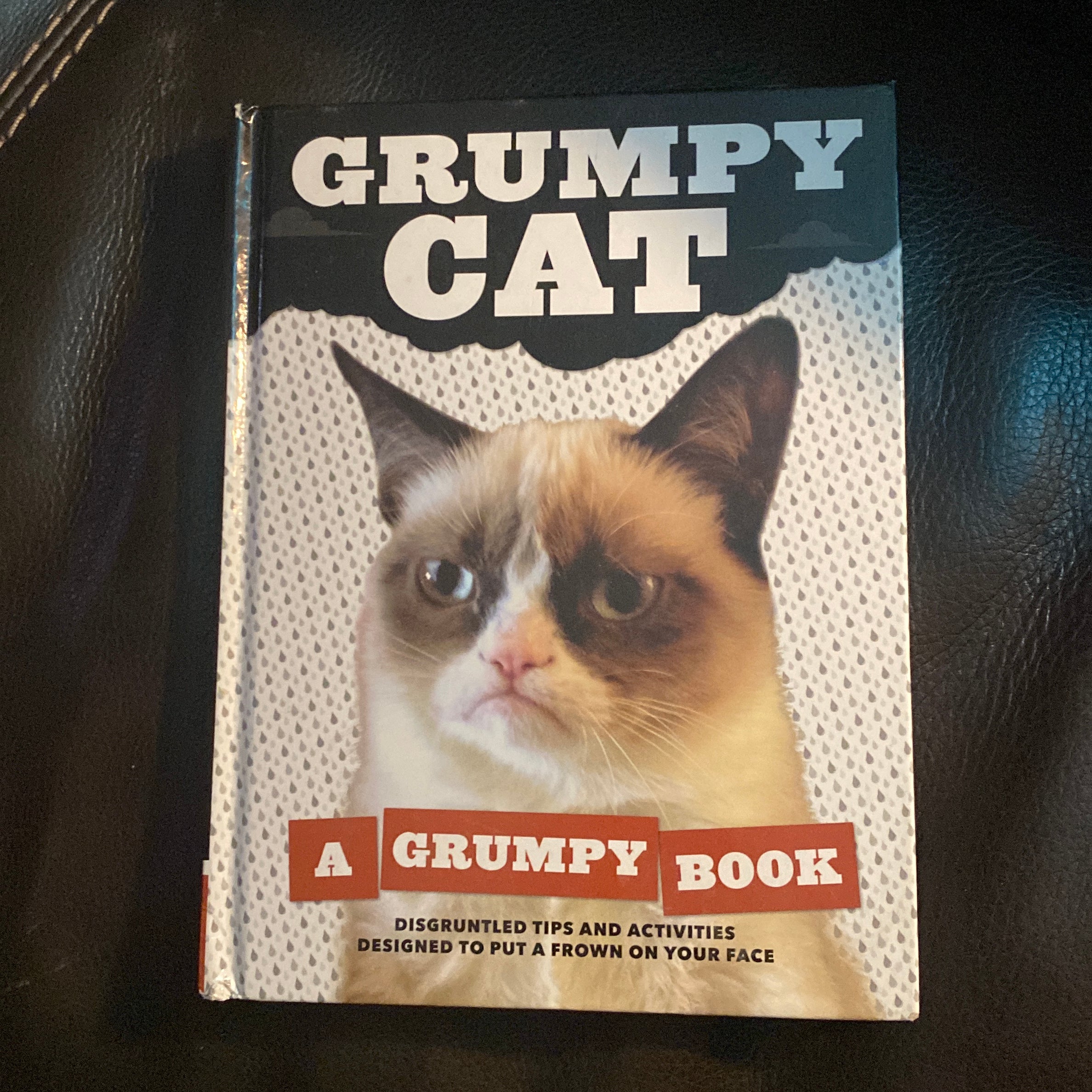 Grumpy Cat