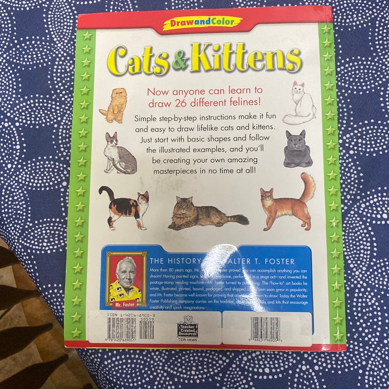 Cats & Kittens 