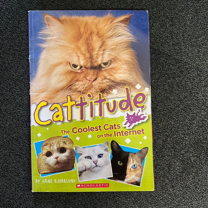 Cattitude