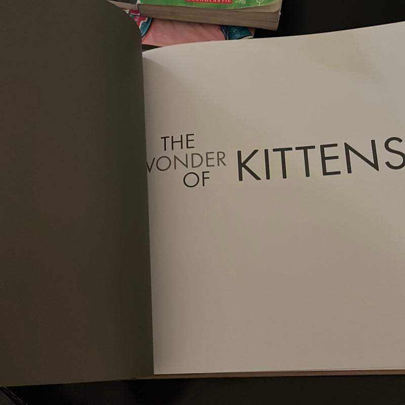 The Wonder of Kittens