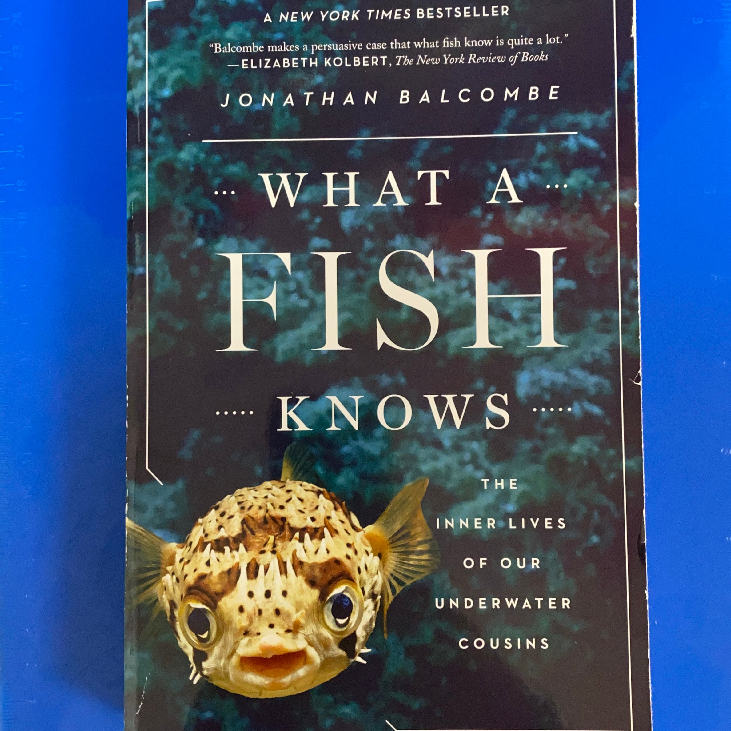What a Fish Knows