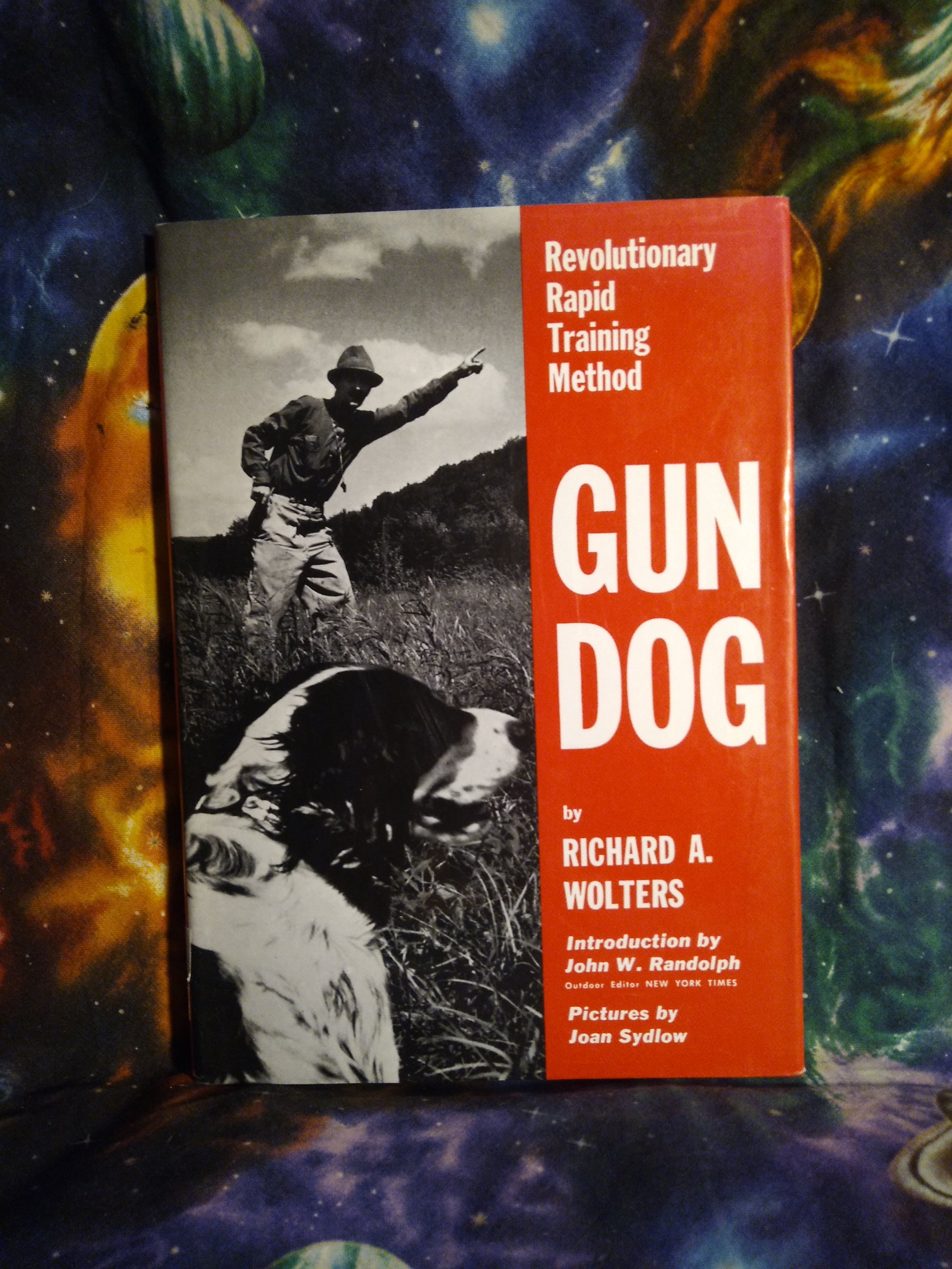 Gun Dog