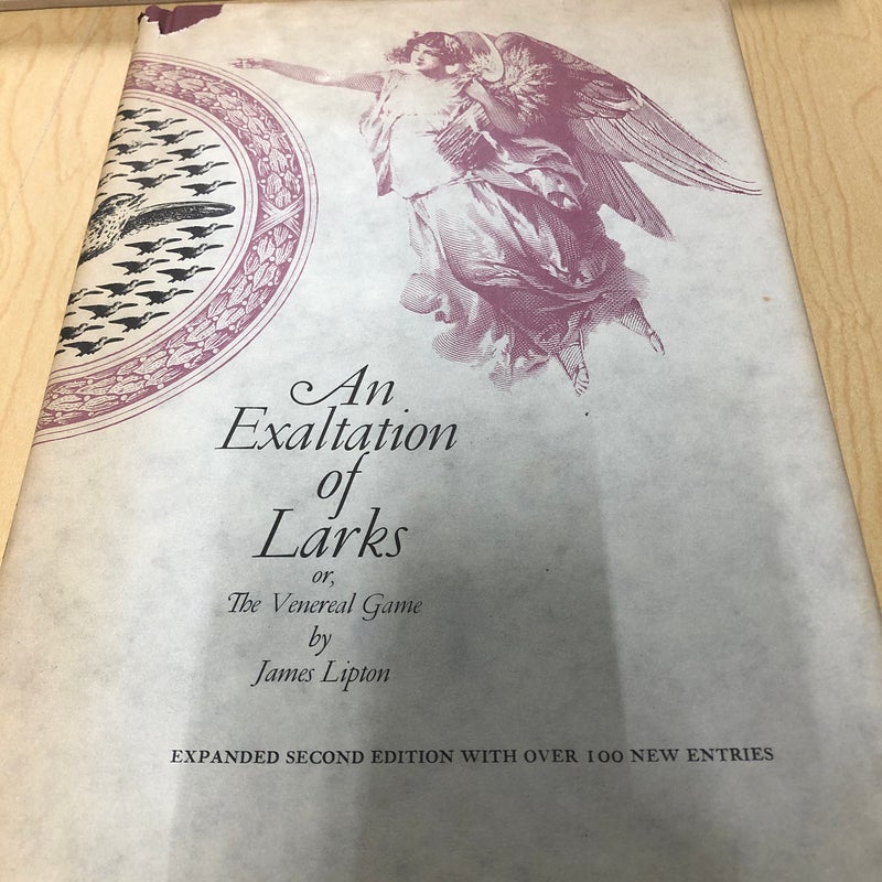 An Exaltation of Larks