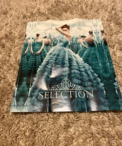 The Selection Poster