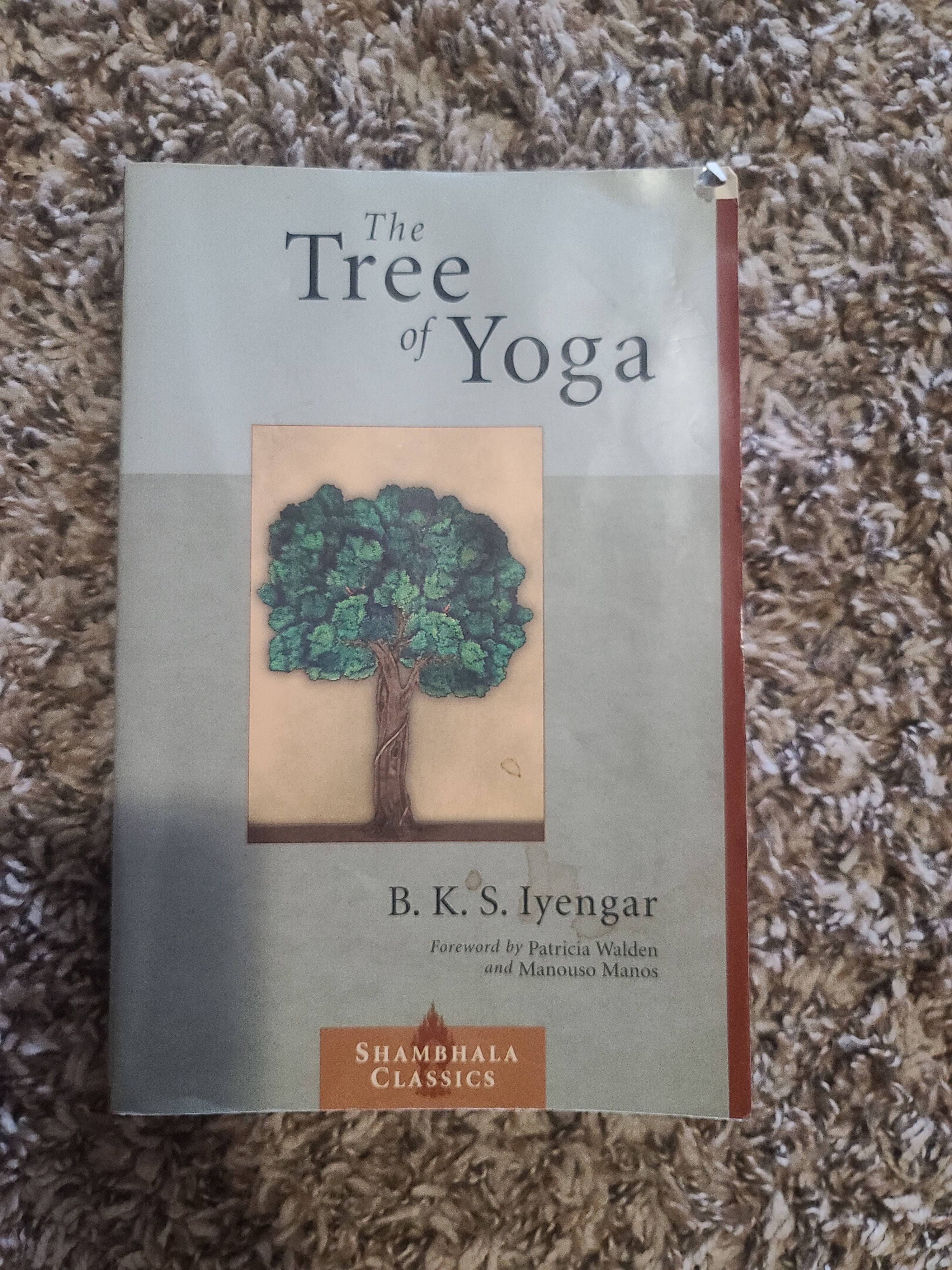 The Tree of Yoga