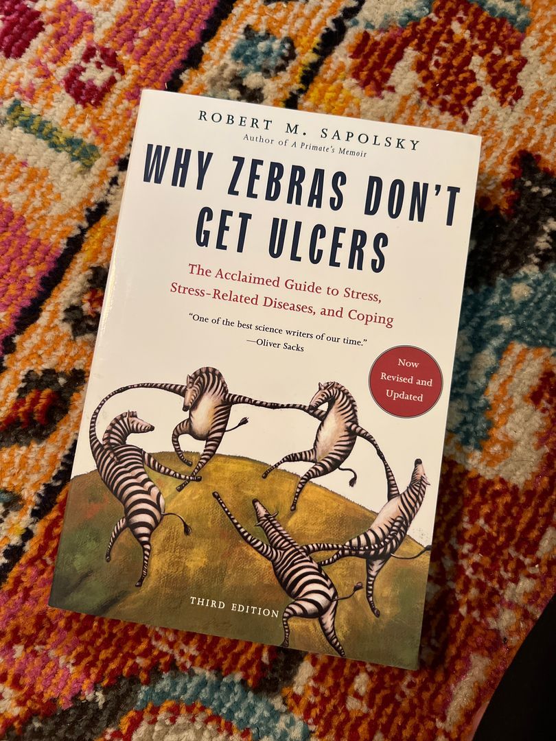 Sale image for 141bbf25-d939-41d4-901c-eecf915b8244-hDHhWSoaNmfHUYgHt9OzsbfAIqb2