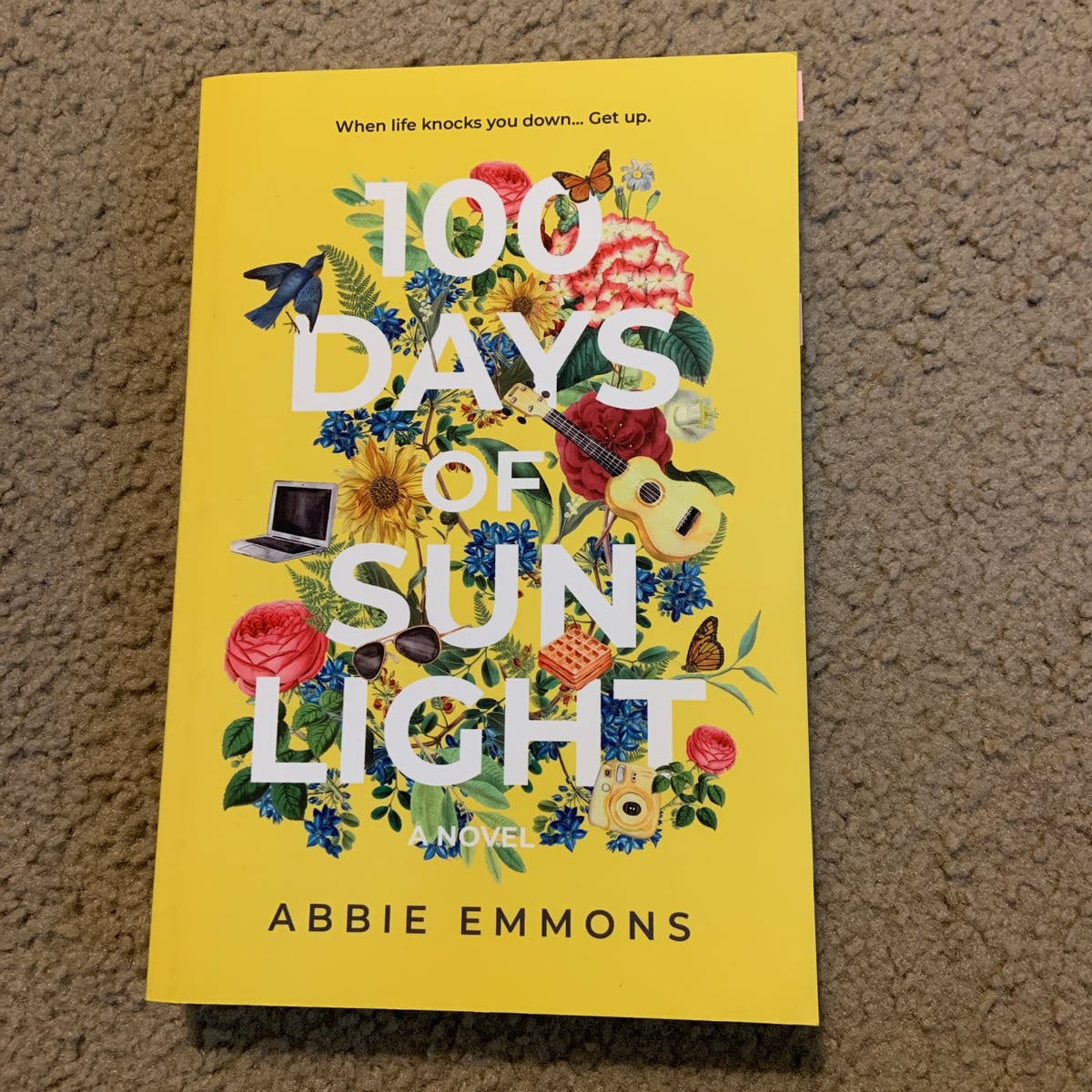 100 Days of Sunlight
