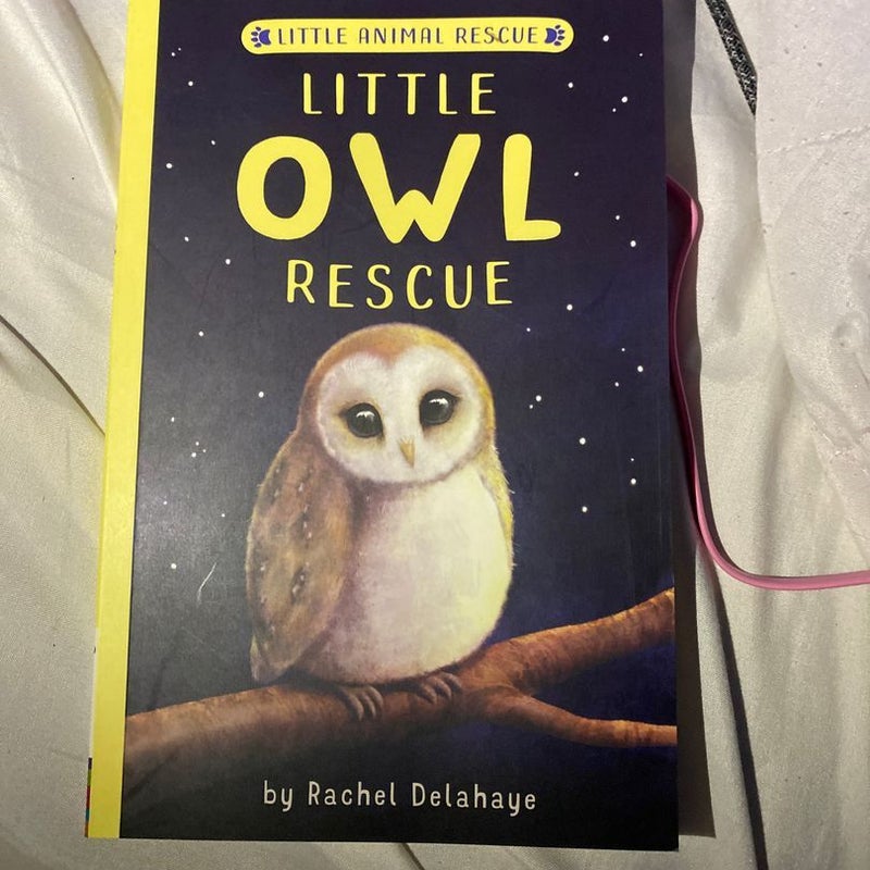 Little Owl Rescue