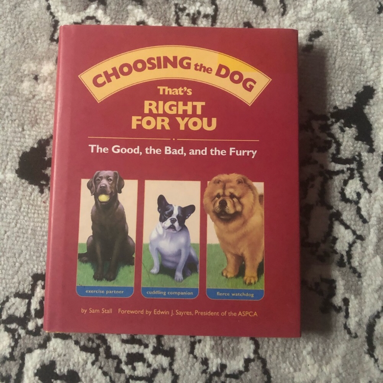 Choosing the Dog That’s Right For You