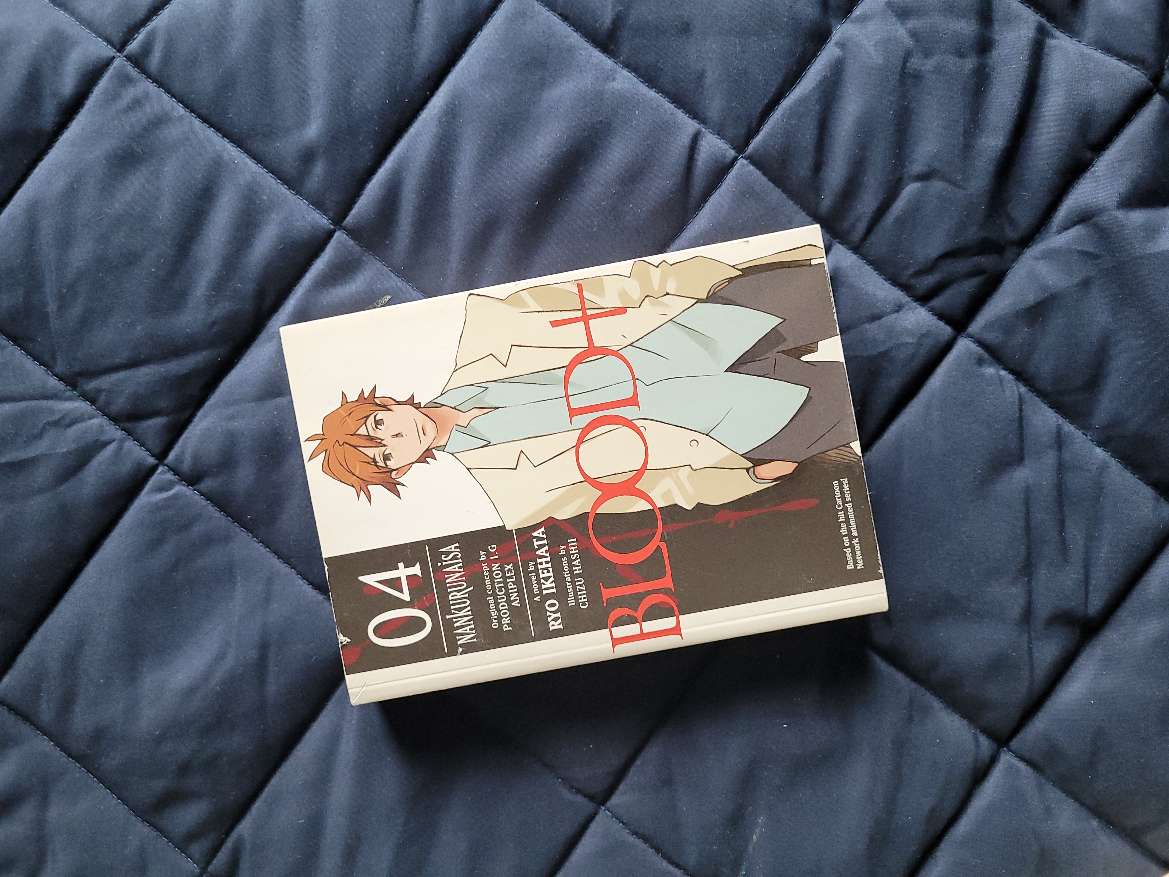 Blood+ Volume 4: Nankurunaisa (Novel)