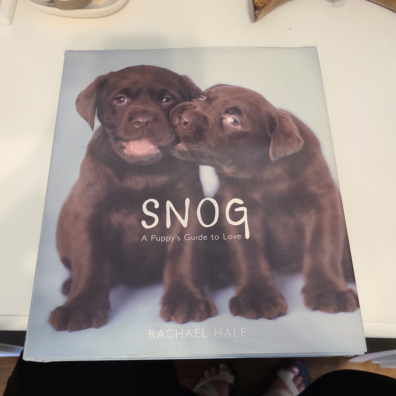 Snog