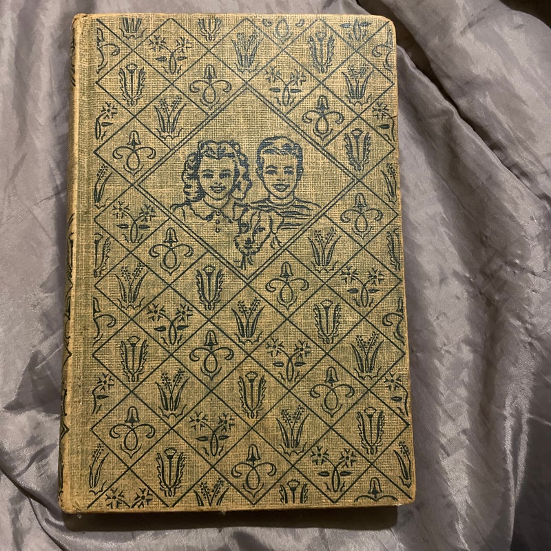 The bobbsey twins at the snow lodge