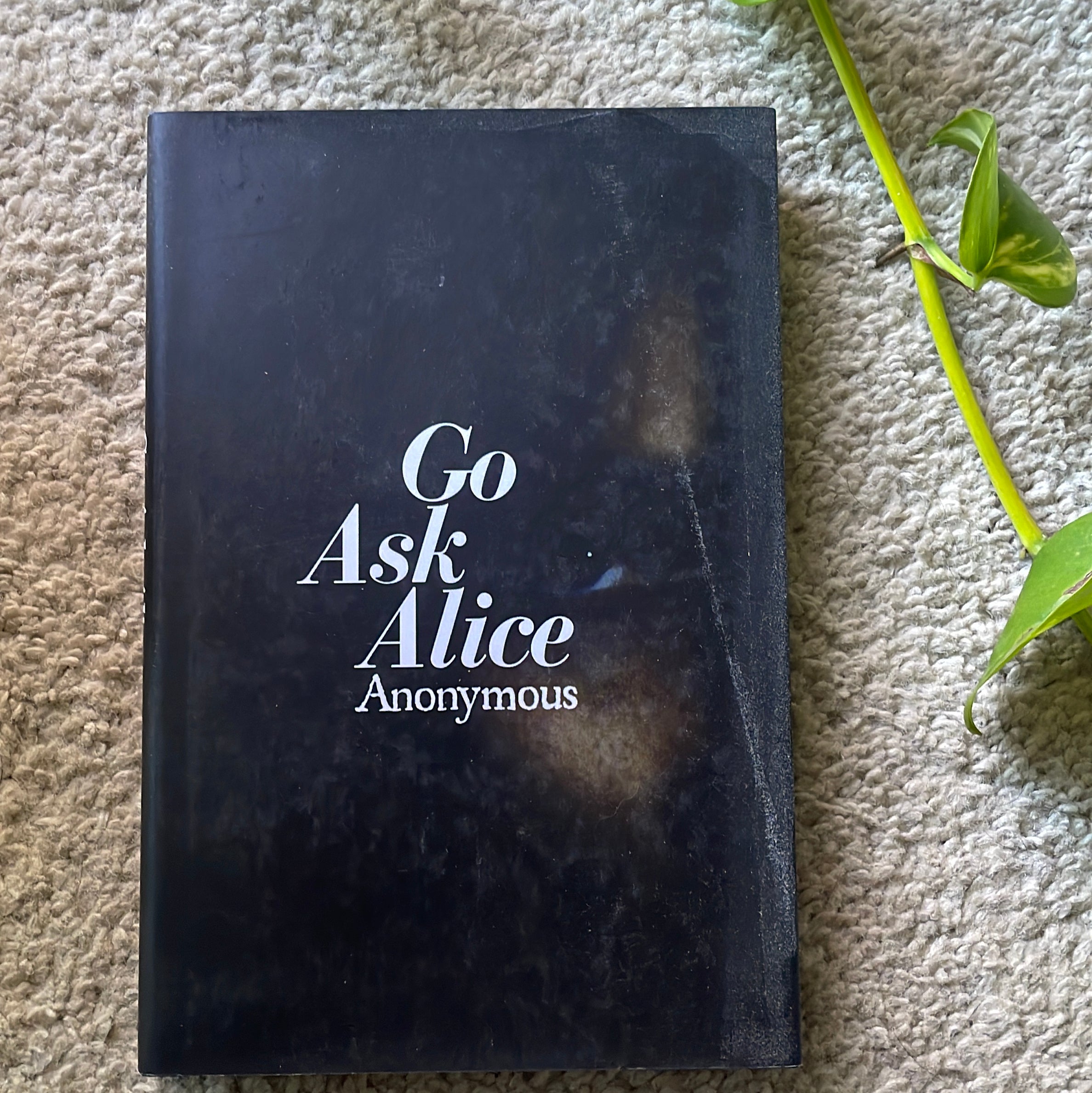 Go Ask Alice