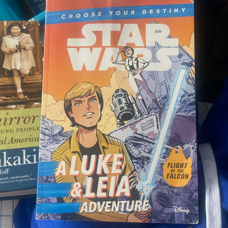 Star Wars a Luke and Leia Adventure