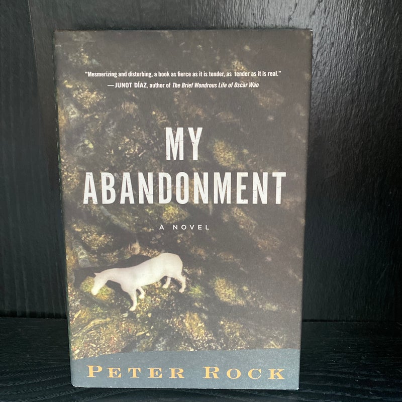 My Abandonment