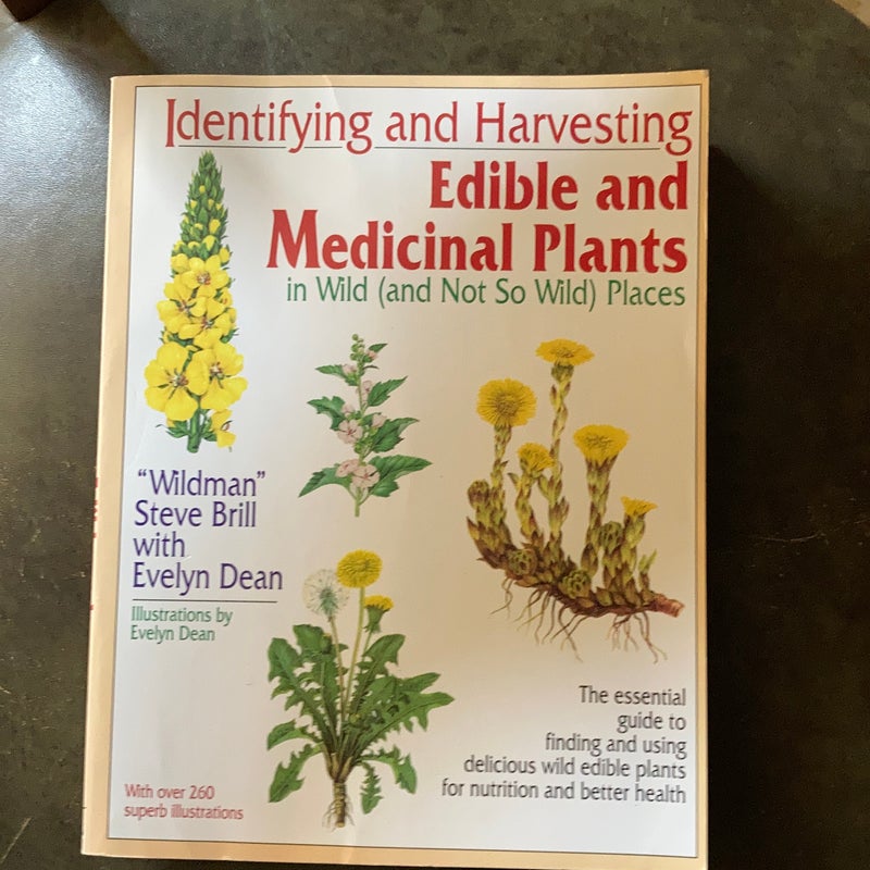 Identifying and Harvesting Edible and Medicinal Plants