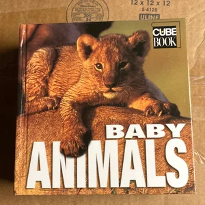 Baby Animals