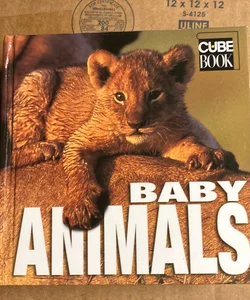 Baby Animals