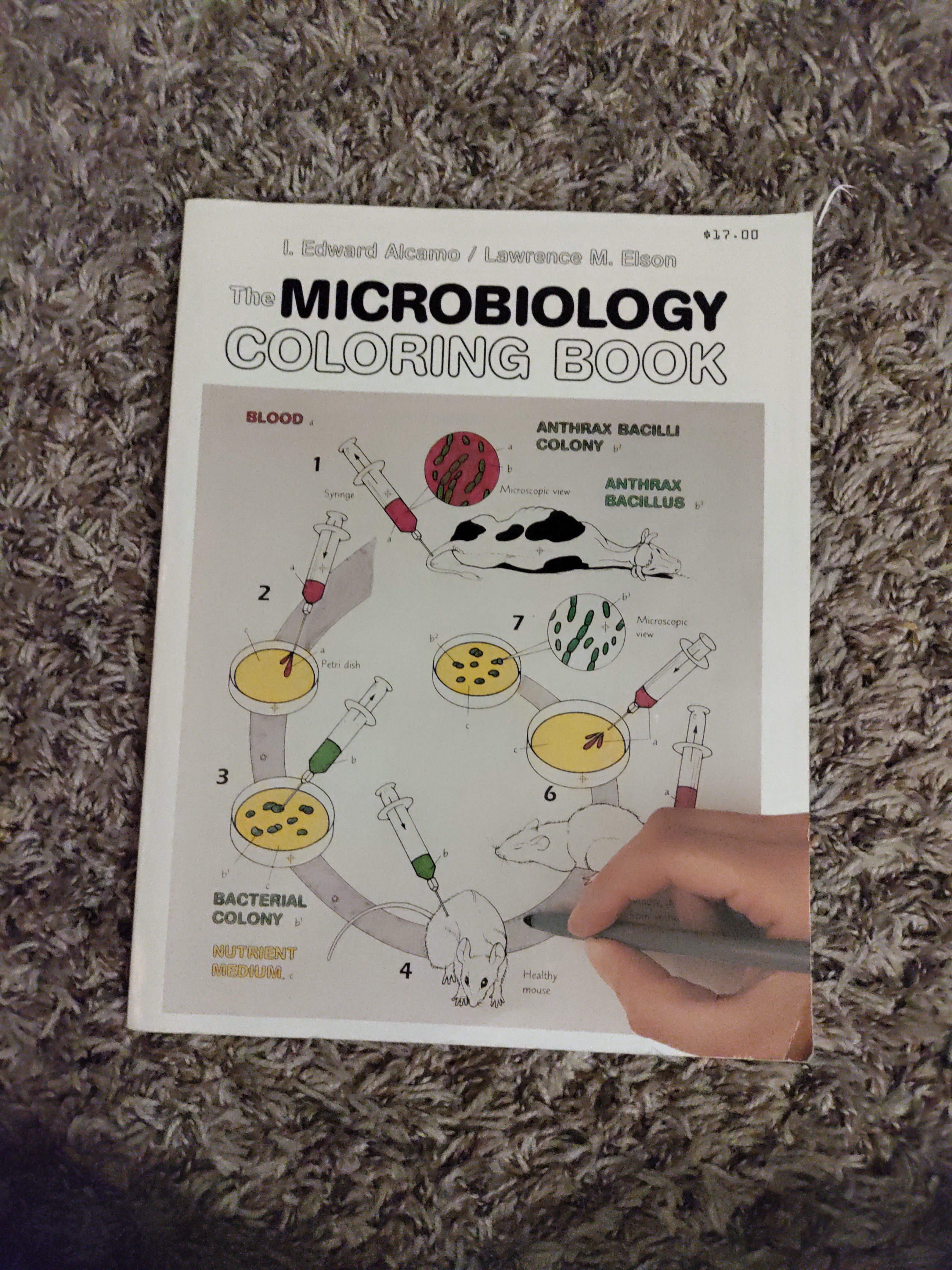 Microbiology Coloring Book