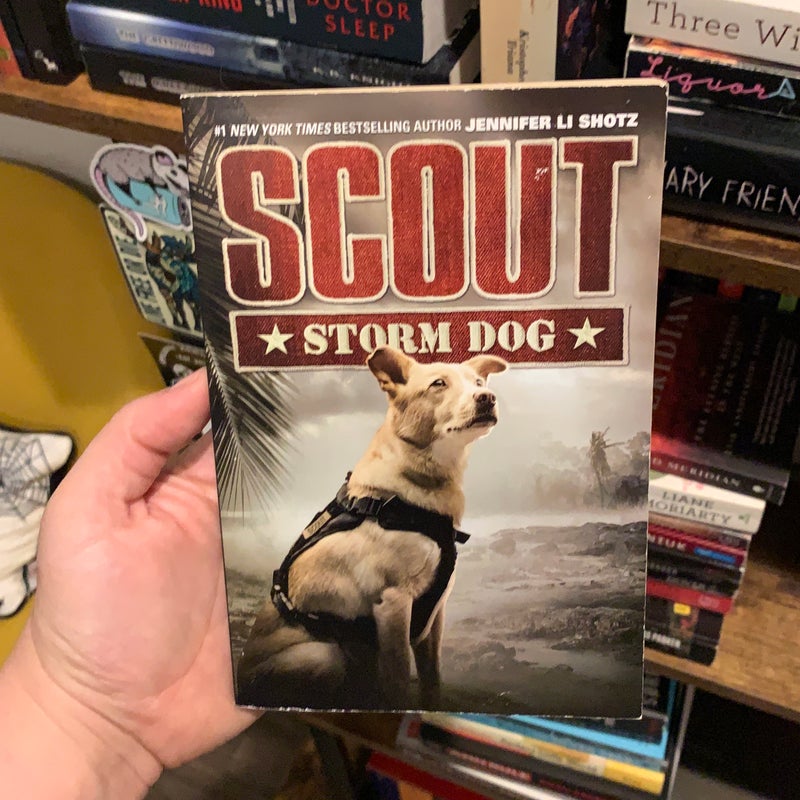 Scout: Storm Dog