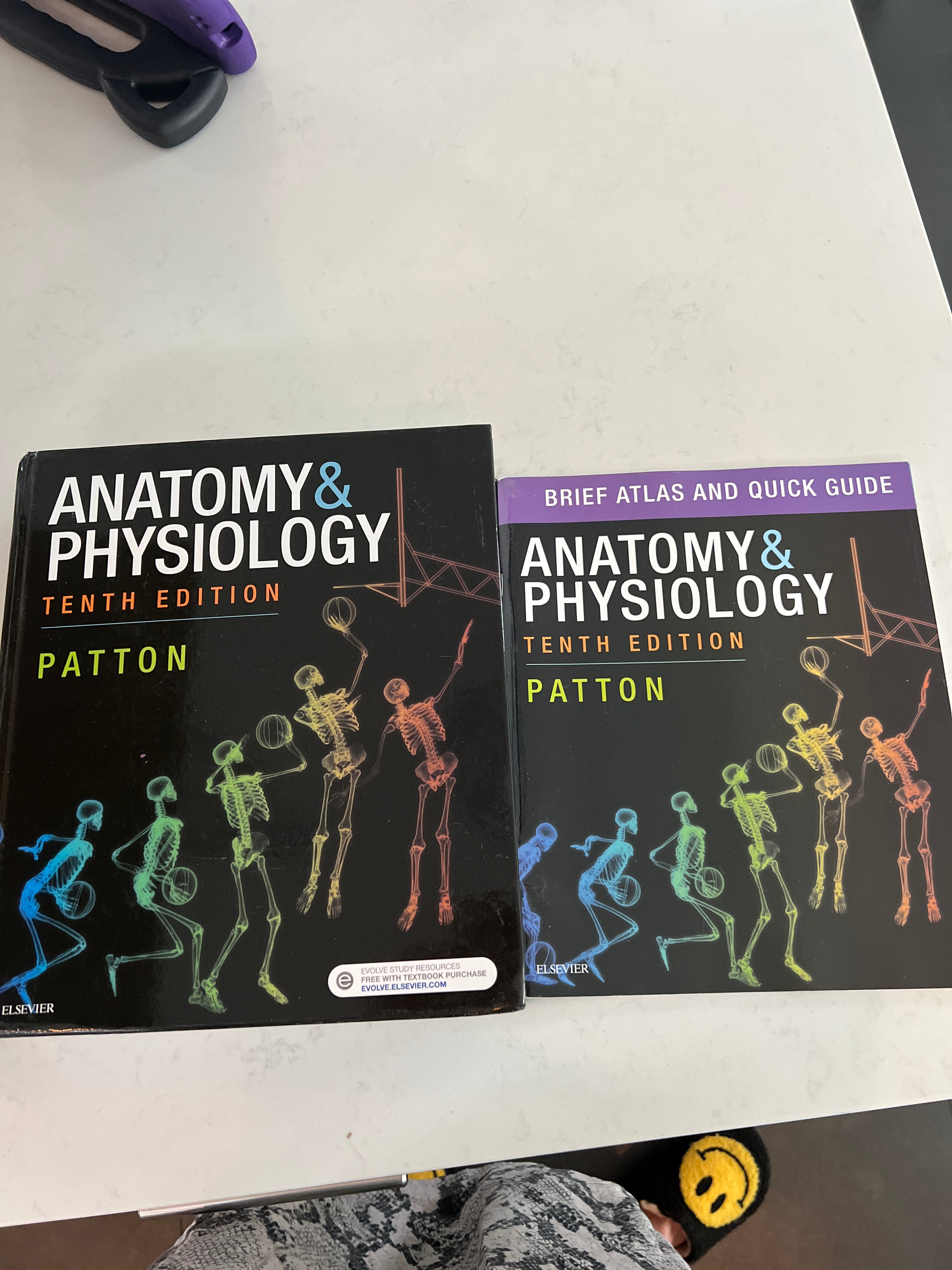 Anatomy and Physiology