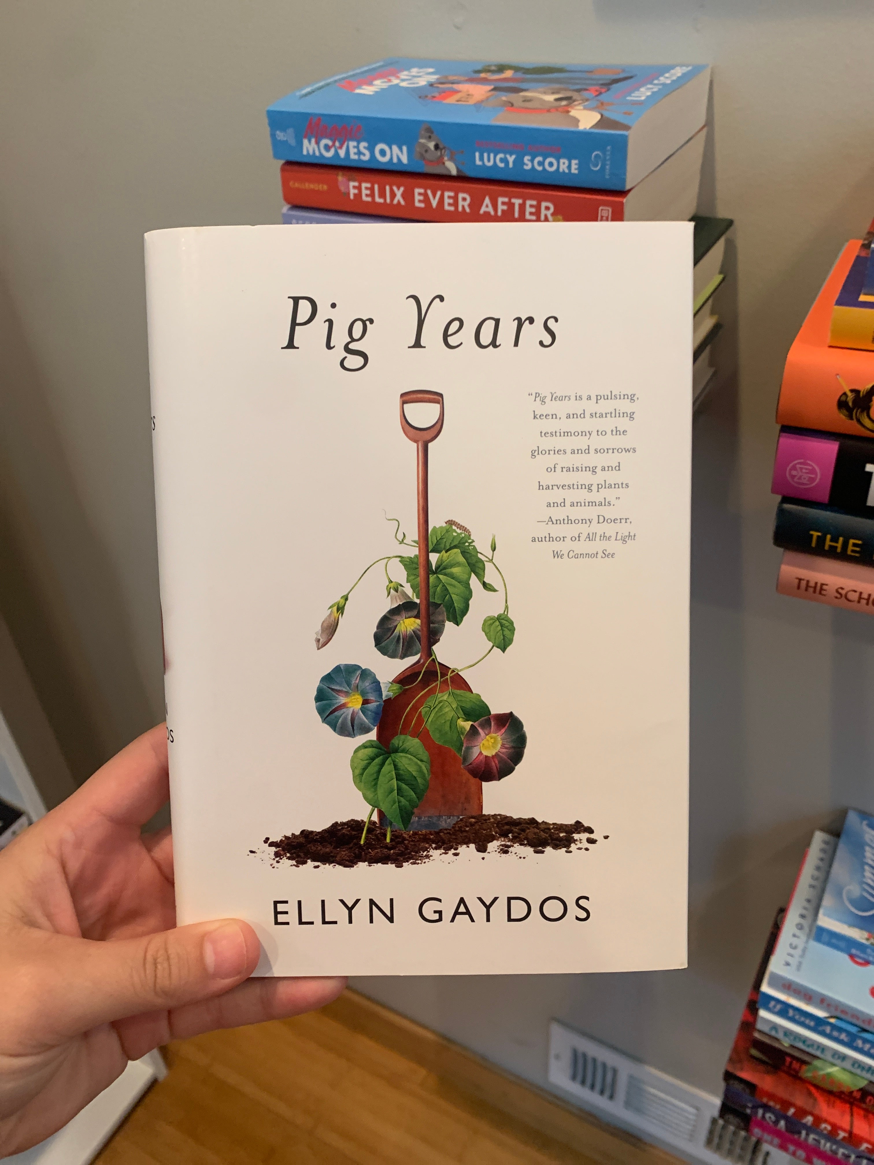 Pig Years