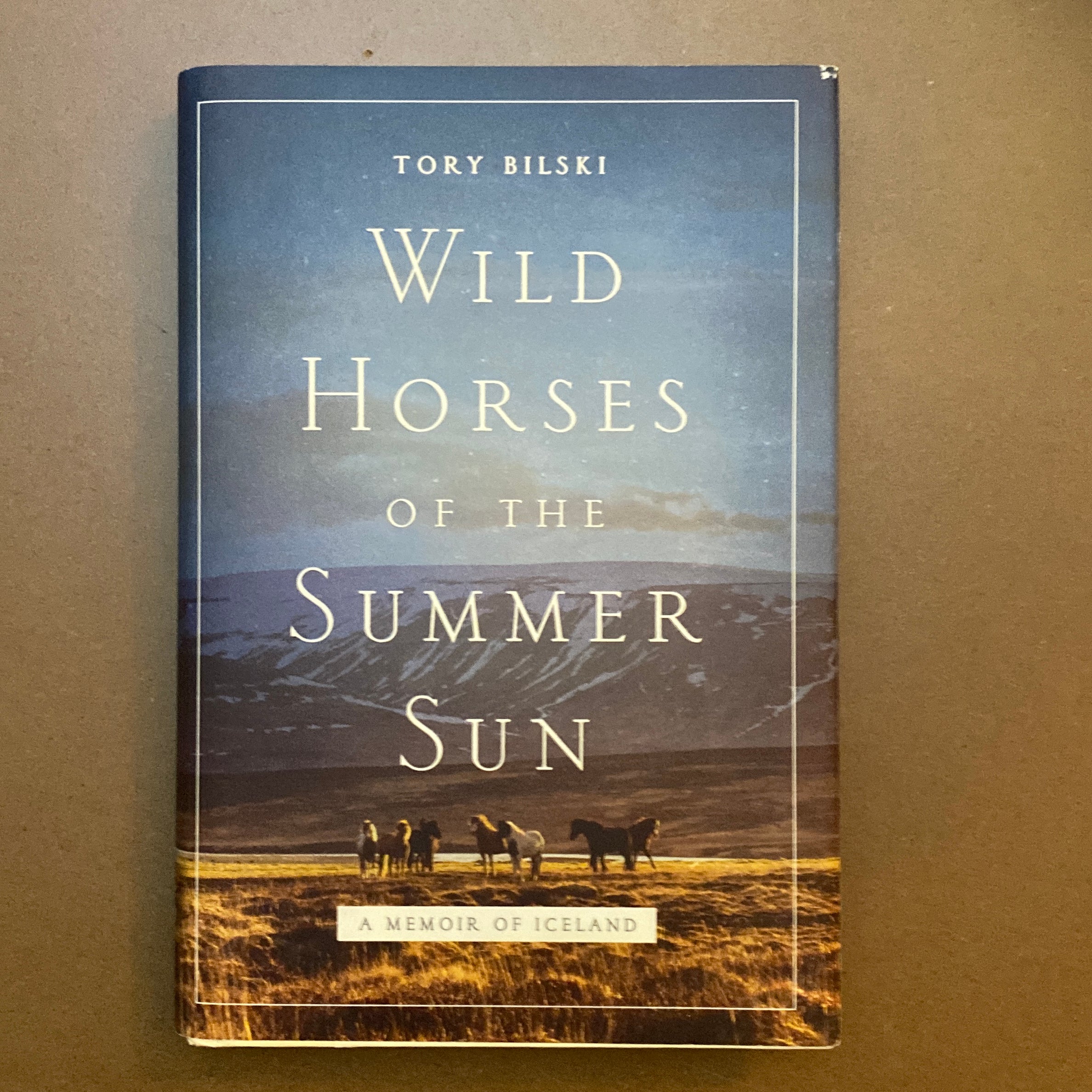 Wild Horses of the Summer Sun