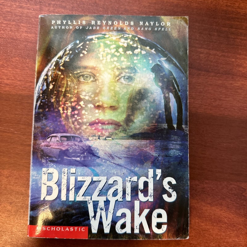 Blizzard’s Wake