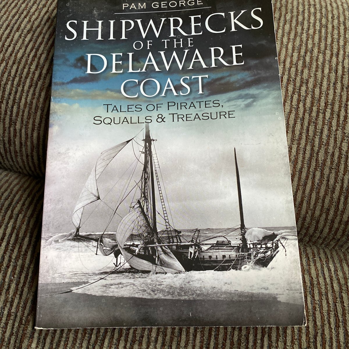 Shipwrecks of the Delaware Coast by Pam George