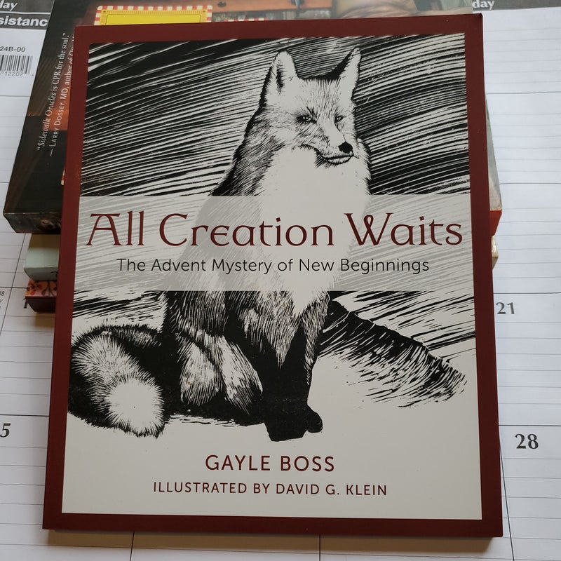 All Creation Waits This Advent