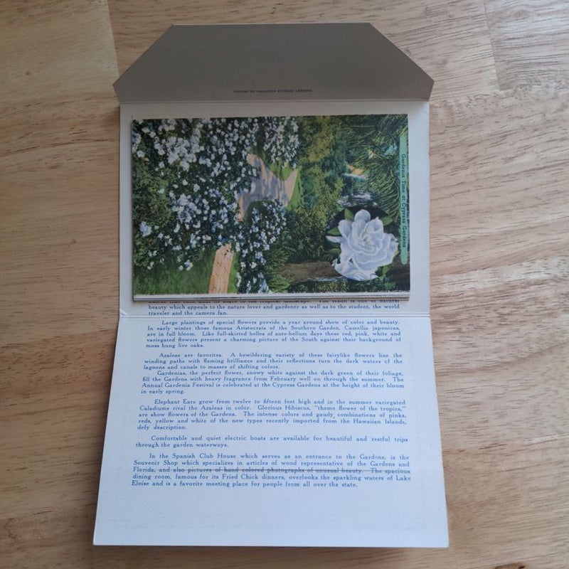 Vintage Postcard Folders - Cypress Gardens, Pikes Peak - Bundle of 2