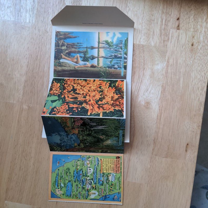 Vintage Postcard Folders - Cypress Gardens, Pikes Peak - Bundle of 2