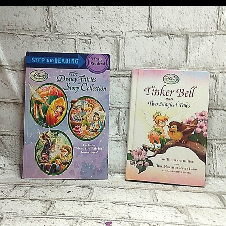 Tinkerbell books 