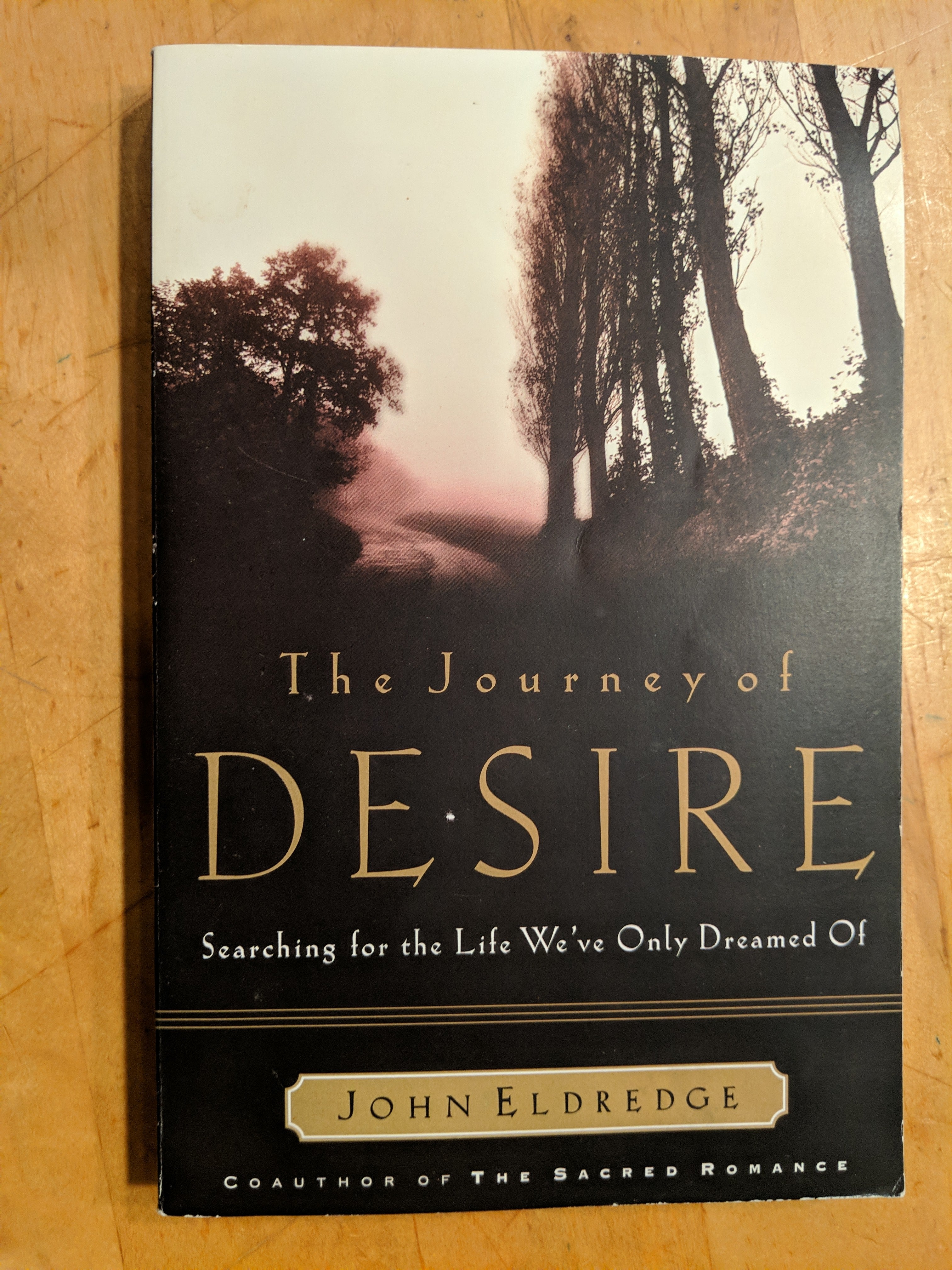 The Journey of Desire