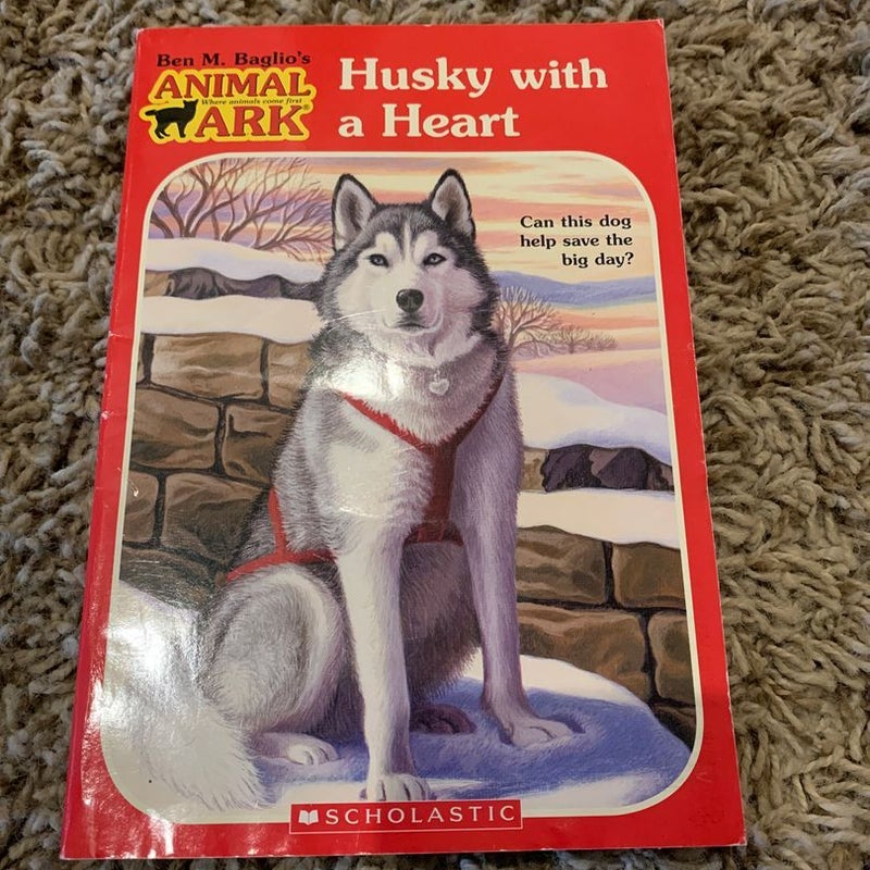 Husky with a Heart