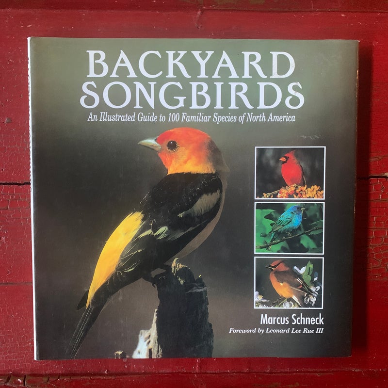 Backyard Songbirds