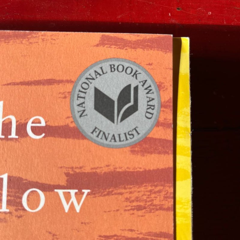 The Yellow Birds