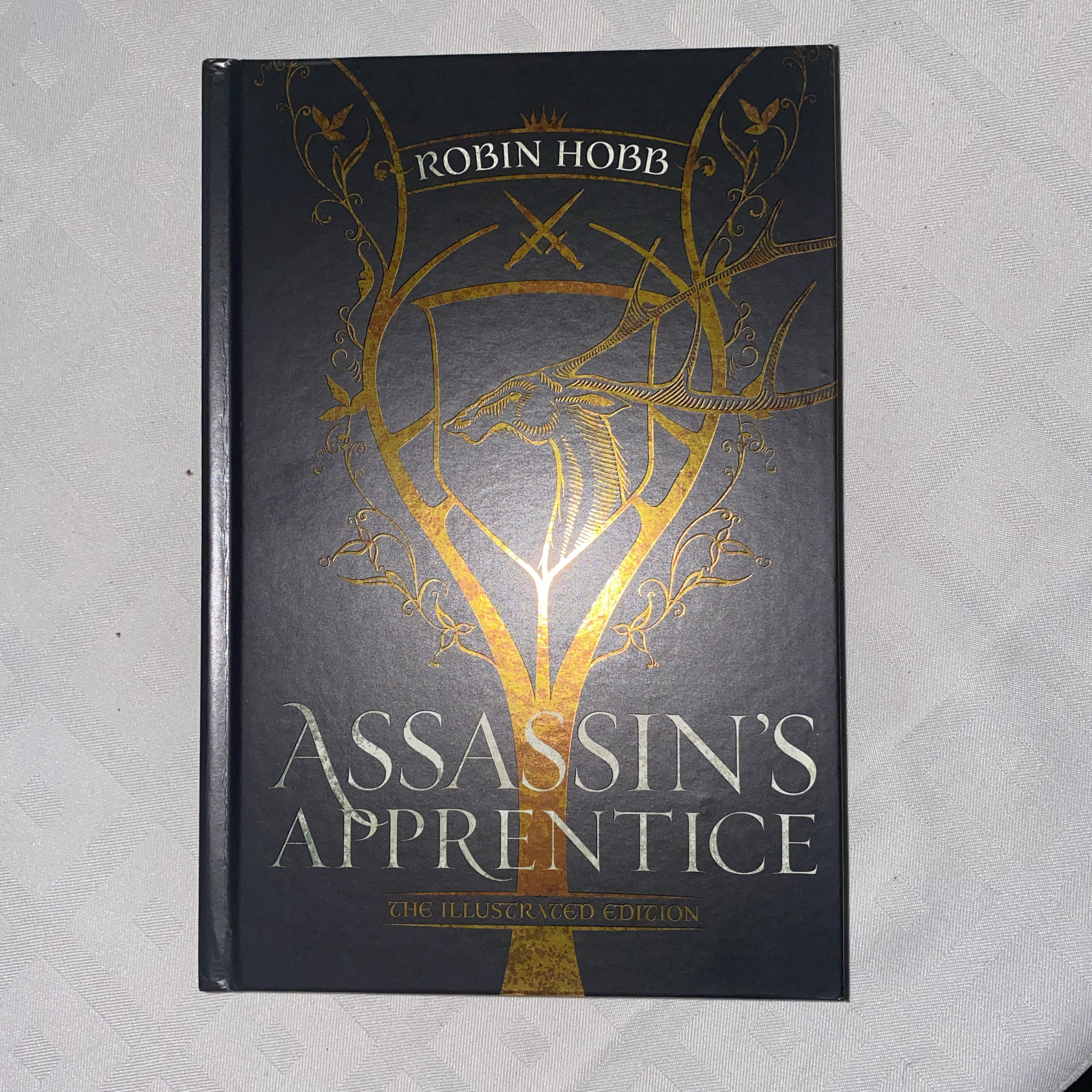 Assassin's Apprentice