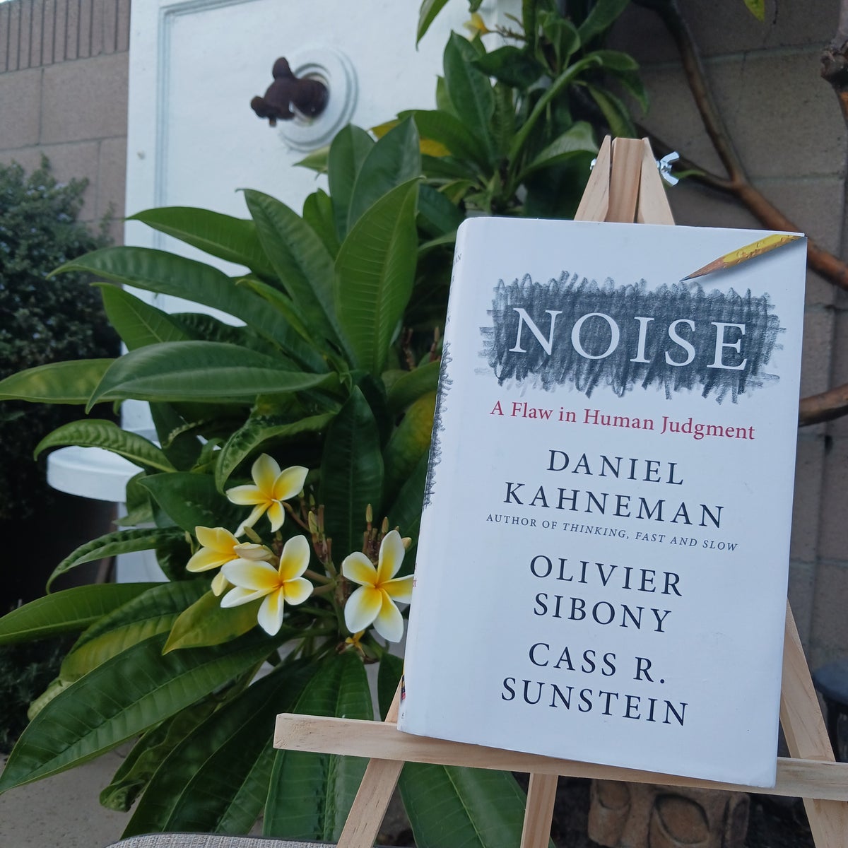 Noise by Daniel Kahneman; Olivier Sibony; Cass R. Sunstein, Hardcover