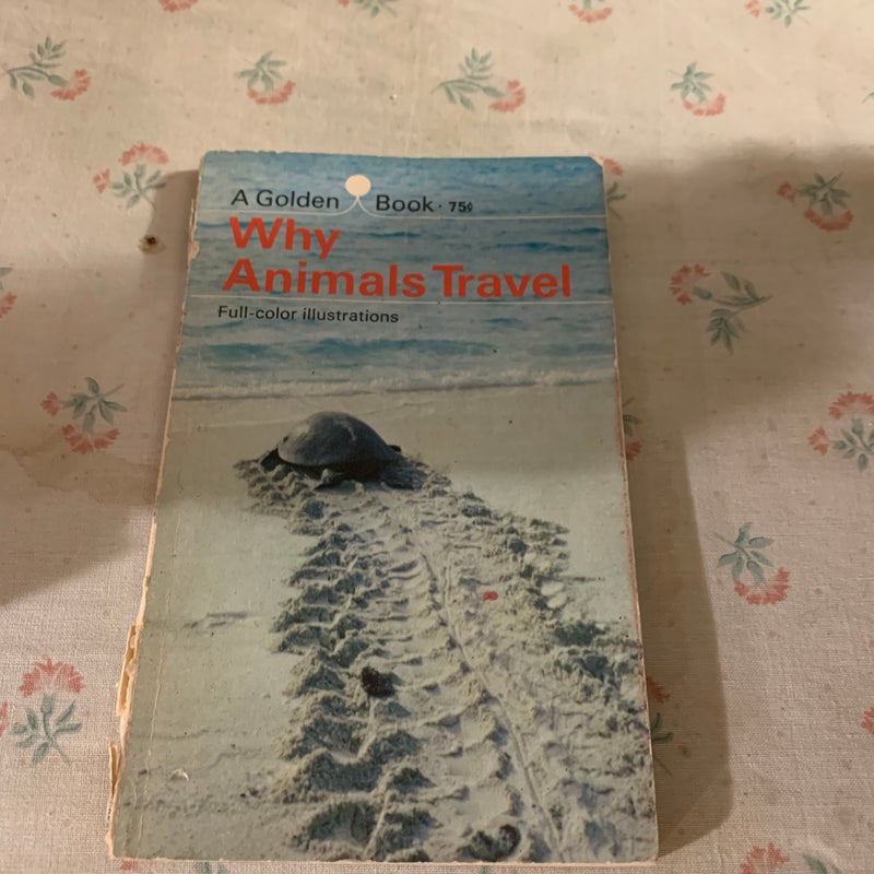 Why Animals Travel 