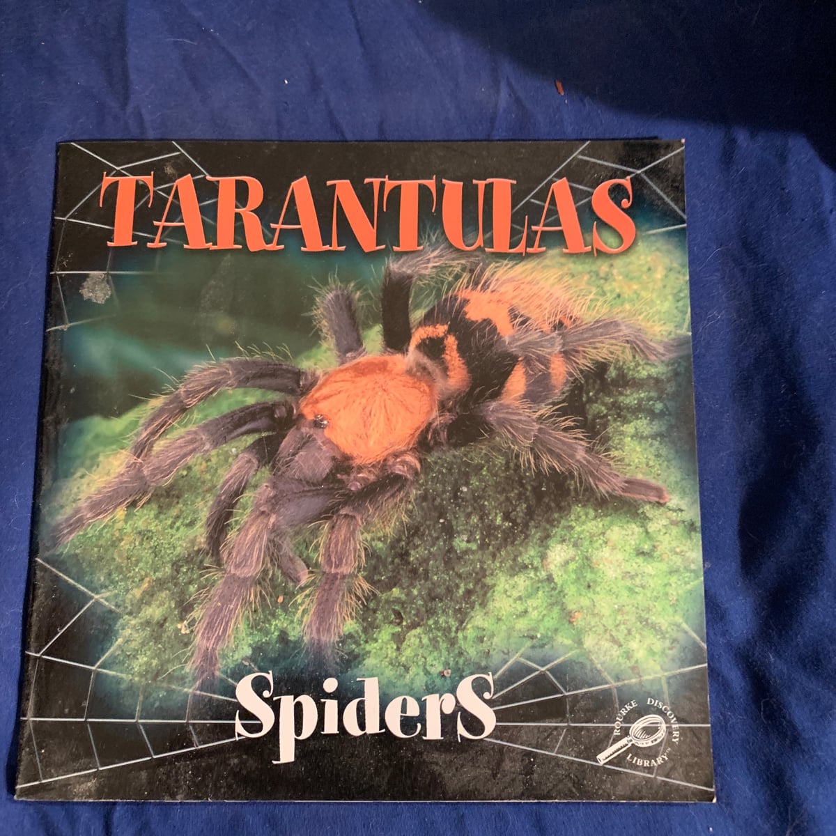 Tarantulas by Jason Cooper, Paperback | Pangobooks