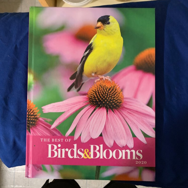 The Best Of Birds & Bloom 2020