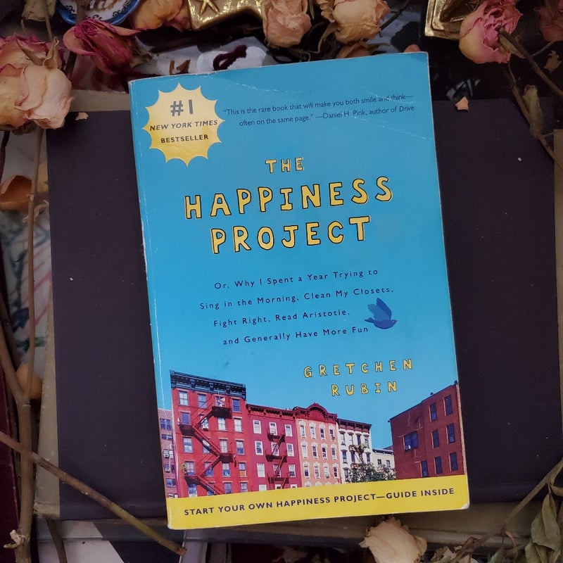 The Happiness Project