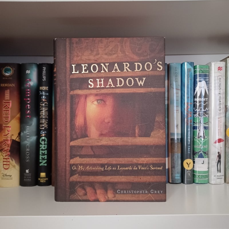 Leonardo's Shadow