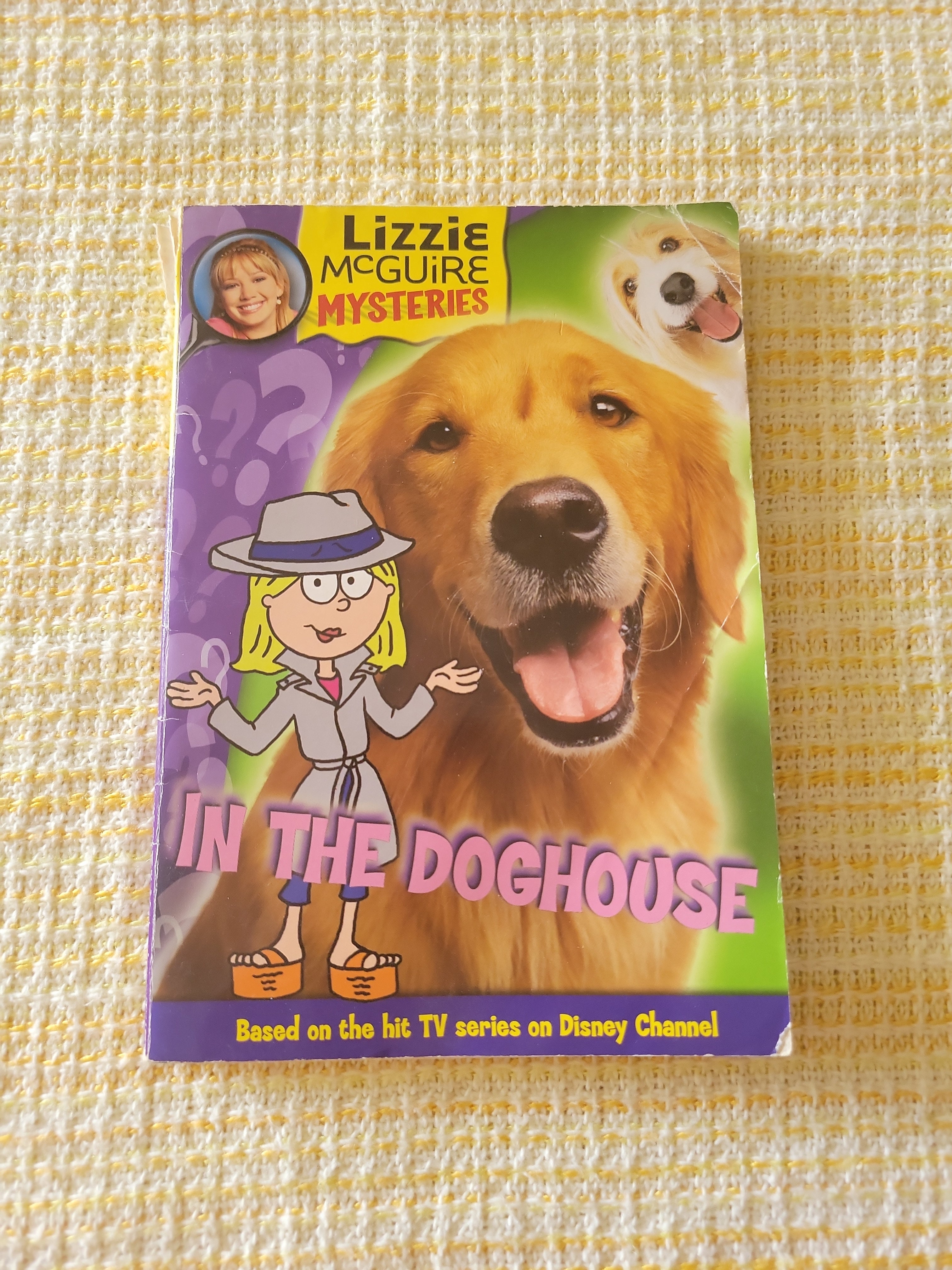 Lizzie Mcguire Mysteries: in the Doghouse - Book #5