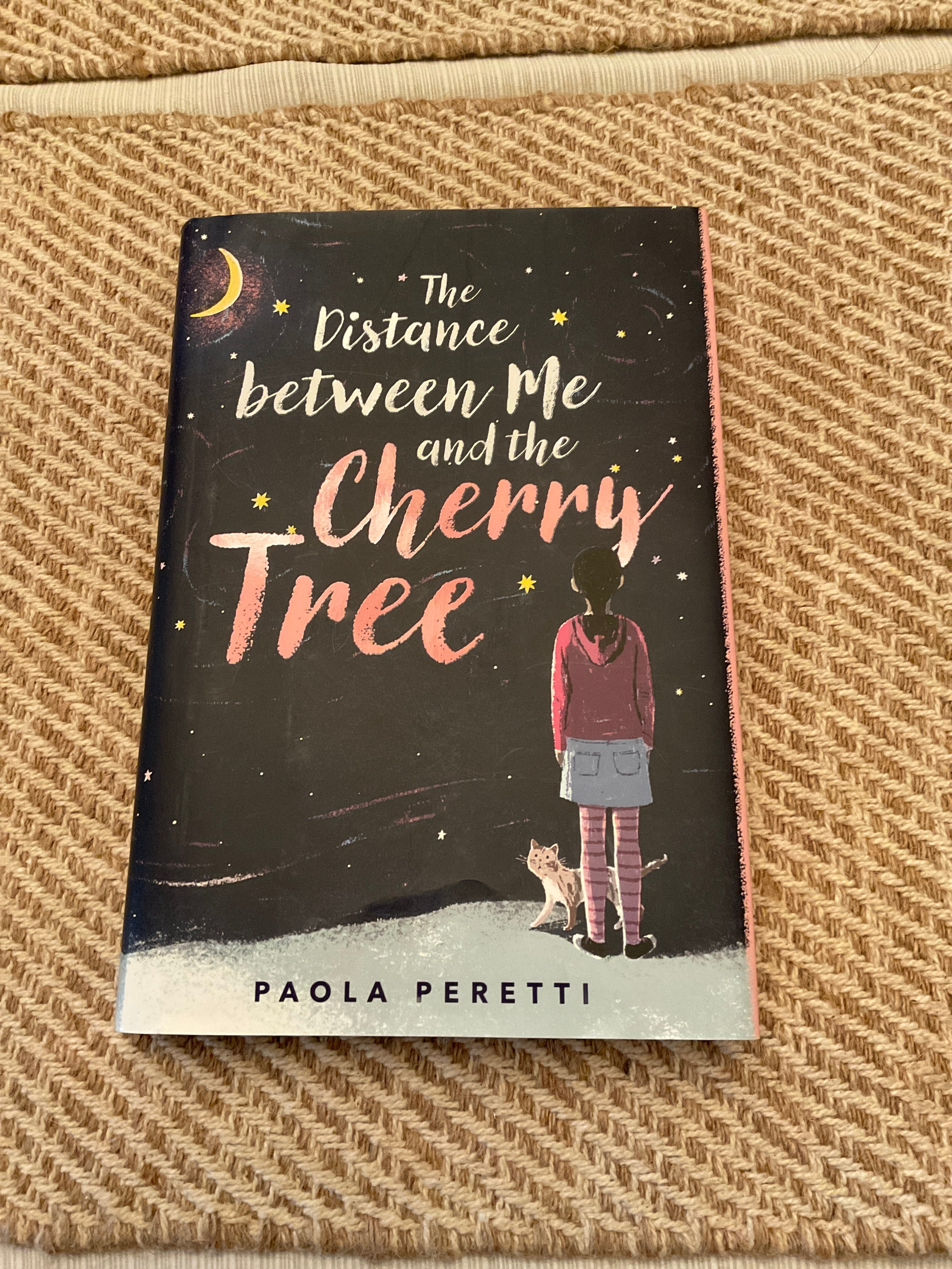 The Distance Between Me and the Cherry Tree