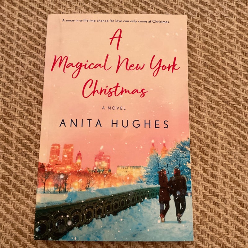 A Magical New York -Christmas GIVE a Book