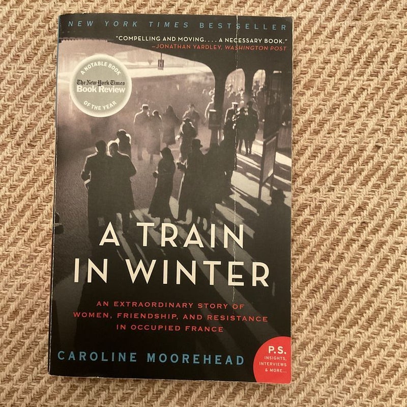 A Train in Winter