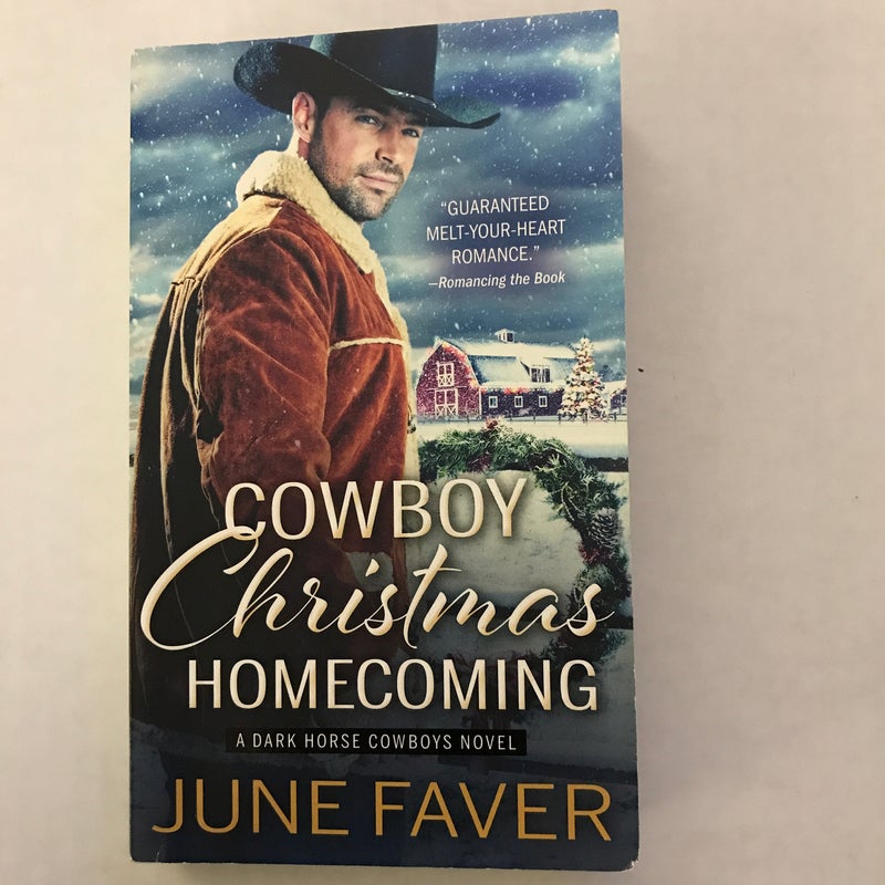 Cowboy Christmas Homecoming